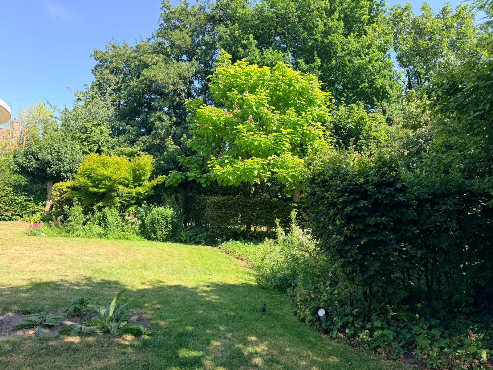 Private Garden Photo