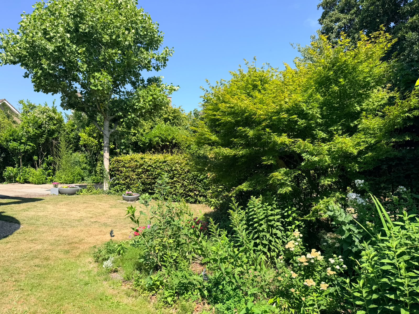 Private Garden Photo
