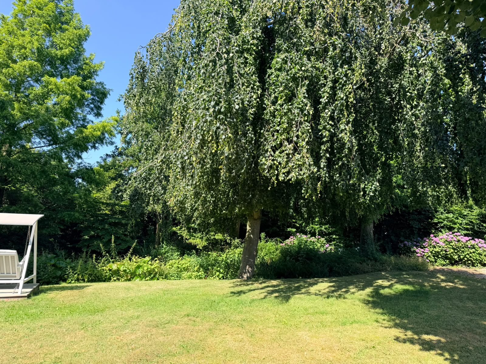 Private Garden Photo